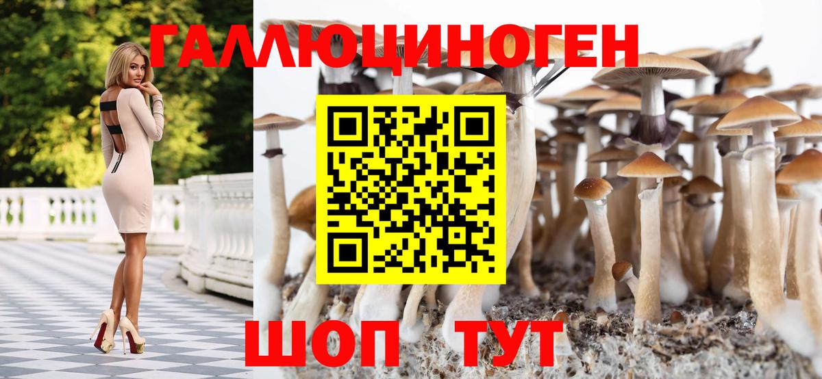 Щёлково  Псилоцибиновые грибы Cubensis  Вход с VPN 